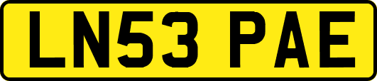 LN53PAE
