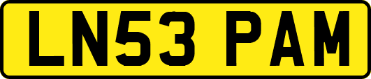 LN53PAM