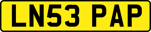 LN53PAP