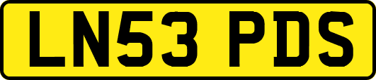 LN53PDS