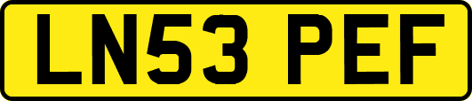 LN53PEF