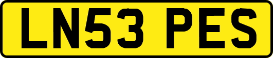LN53PES