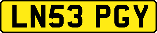LN53PGY