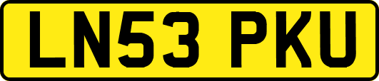 LN53PKU