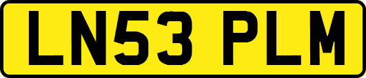 LN53PLM