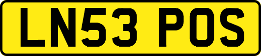 LN53POS