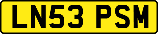 LN53PSM
