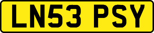 LN53PSY