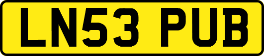 LN53PUB