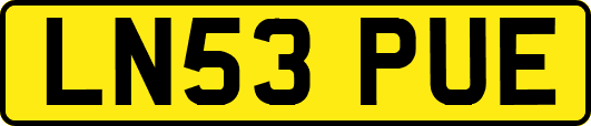 LN53PUE