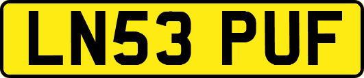 LN53PUF