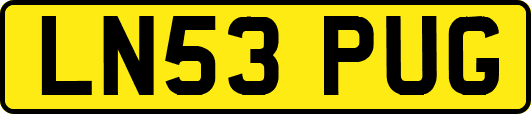 LN53PUG