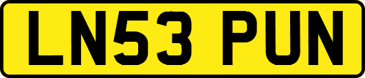 LN53PUN