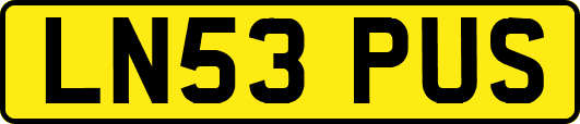 LN53PUS