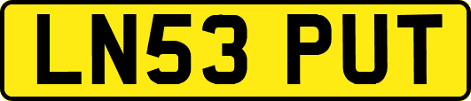 LN53PUT