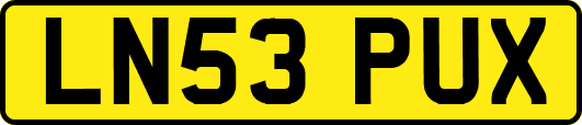 LN53PUX