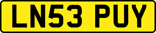 LN53PUY