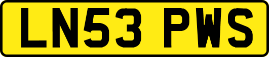 LN53PWS
