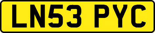LN53PYC