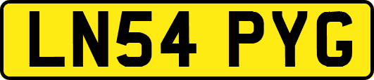 LN54PYG
