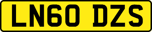 LN60DZS