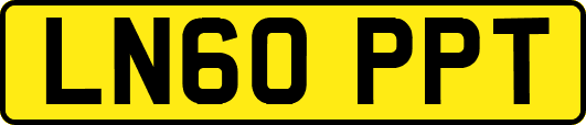 LN60PPT