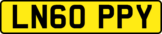 LN60PPY