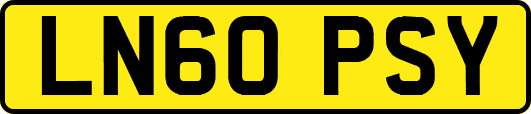 LN60PSY