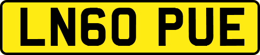 LN60PUE