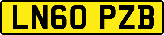 LN60PZB