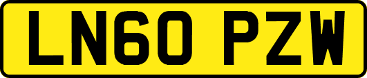 LN60PZW
