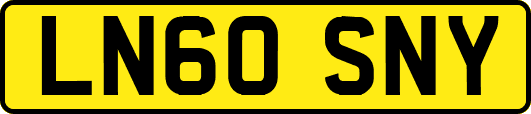 LN60SNY