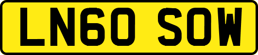 LN60SOW