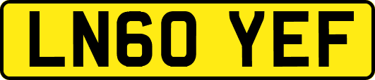 LN60YEF
