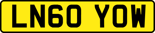LN60YOW