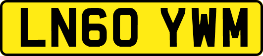 LN60YWM