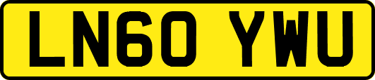 LN60YWU