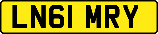 LN61MRY