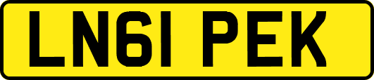 LN61PEK