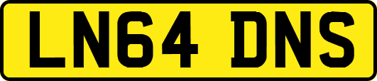 LN64DNS