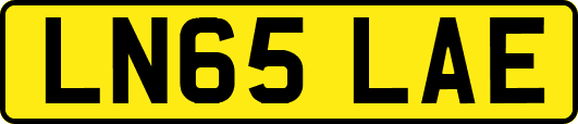 LN65LAE