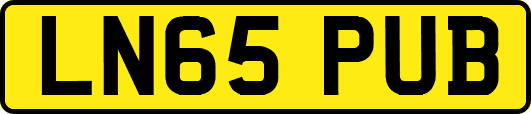 LN65PUB