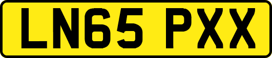 LN65PXX