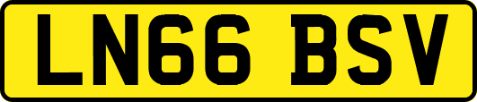 LN66BSV