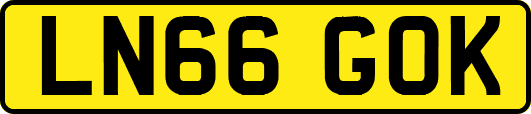LN66GOK
