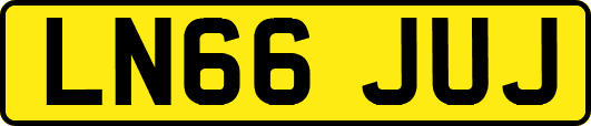LN66JUJ