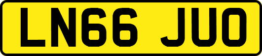 LN66JUO