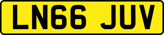 LN66JUV