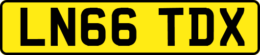 LN66TDX