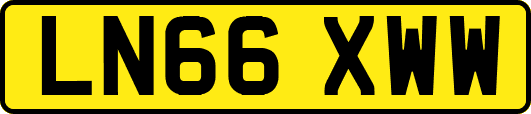 LN66XWW